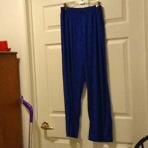 Carolyn Strauss Collection Dress Pants. (1X)